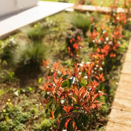 Elena - Two Luxury Suites, Garden & Fast Wi-fi Near The Sea Appartement